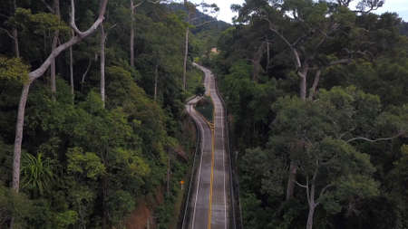 Above asphalt road in beautiful lush green jungle at tropical island of  koh Phangan, Thailandの写真素材