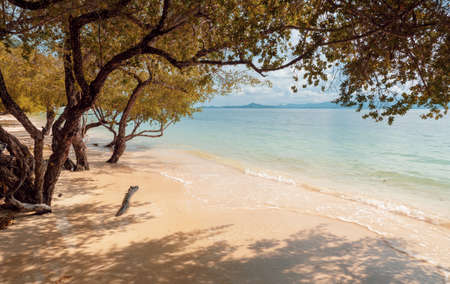 Landscape on the tropical beach of koh Phangan island, Haad Rin area to koh Samui side, Thailand