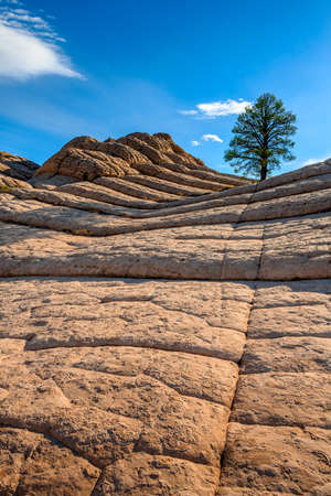 White Pocket rock formations, Vermilion Cliffs National Monument, Arizona, USAの写真素材
