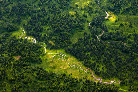 Arial picture of Alaskan tundra and dwarf forest around Denali National park, Alaska, USA. Horizontal image with diagonal compositionの写真素材