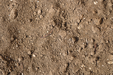 Top view brown soil texture.