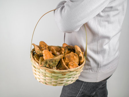 wicker basket with mushrooms close up holds by woman, isolated on white. Cooking a dish with forest mushrooms conceptの写真素材