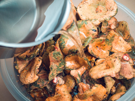 Fresh raw edible forest mushrooms with brown cap boletus on kitchen. Washing forest mushrooms before cooking. Forest mushrooms deliveryの写真素材