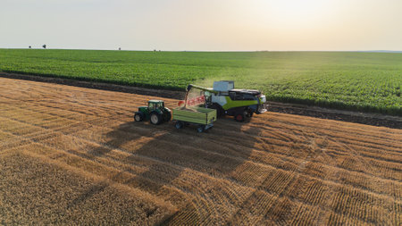 A combine harvester unloads its hopper into a tractor trailer aerial drone shot. Harvesting wheat from the fields.の写真素材