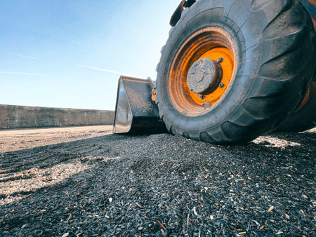 Loader Collecting Grain in Warehouse: Agriculture Logistics and Global grain Supply Chain in Action