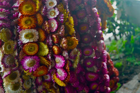 Souvenirsの写真素材