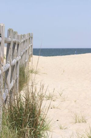 path to beachの写真素材