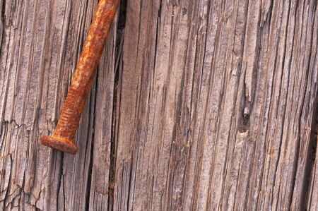 a macro picture of old wood and nailの写真素材