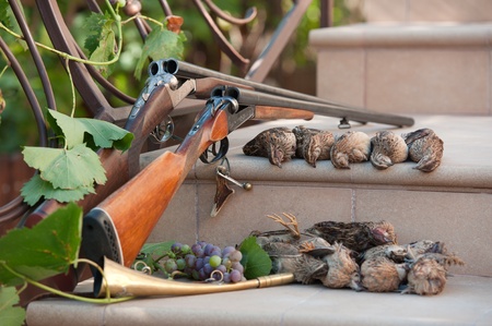 Two double-barreled shotguns on a stone steps beside several dead quail that were successfully shot on the hunt. Focus on the top number of birds. の写真素材