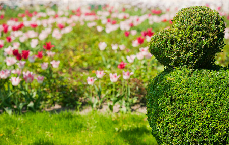 Lush landscaped garden with flowerbed and colorful plants, horizontalの写真素材