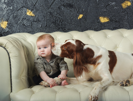 big dog kisses baby boy  on cheek, on white sofa, studioの写真素材