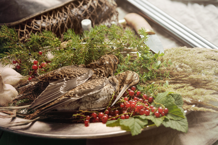 Wild hunting fowls in cooking. Two snipe or woodcock lie on metal dish. Hunting composition, outdoors. Wildfowl hunting.の写真素材