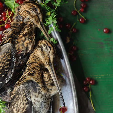Wild hunting fowls in cooking. Two snipe or woodcock lie on metal dish. Hunting composition, outdoors. Wildfowl hunting.の写真素材