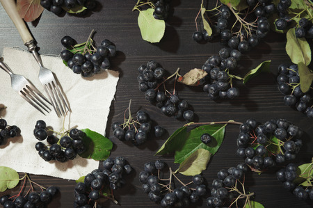 Branches black chokeberry berries ( Aronia melanocarpa ) on dark table. Autumn pattern. The sour...