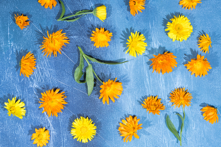 Floral pattern of calendula flowers on blue background. Flat lay, top view. Floral background.の写真素材
