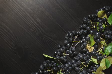 Branches black chokeberry berries ( Aronia melanocarpa ) on dark table. Autumn pattern. The sour berries can be eaten raw. Top view. Horizontal.の写真素材