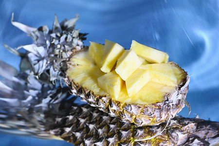 Pineapple fruit on a gray surrealistic background. Surrealism and alternate reality concepts.の写真素材