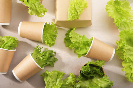 Biodegradable tableware and greens on light background. Environmental protection. Secondary processing. The concept of zero waste.の写真素材