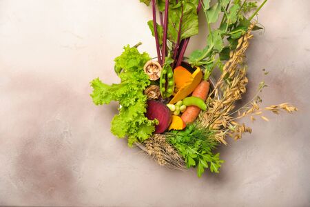 Special vegan pet food, natural raw ingredients on light grey background.の写真素材