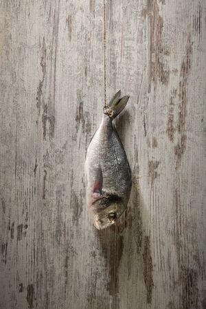 Fish hanging on the clothesline on the background of an light grey wooden wall.