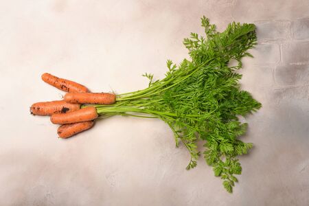 Fresh carrots with batva lie on a light gray background.