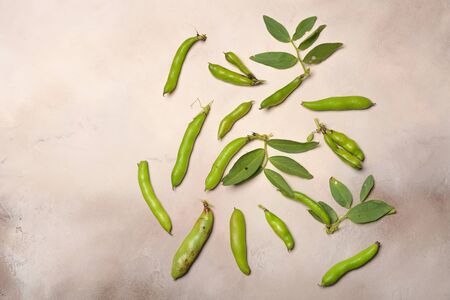 Pods of fresh green beans lie on a light gray background.の写真素材