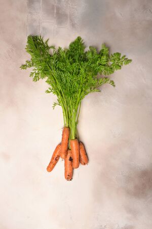 Fresh carrots with batva lie on a light gray background.の写真素材
