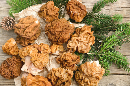 A few morel mushrooms lie on a wooden table. Outdoors.の写真素材