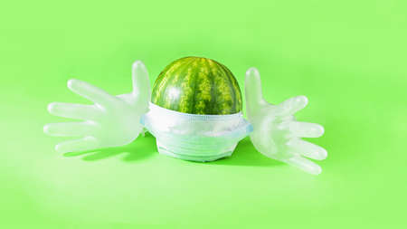 A small watermelon in a medical mask and gloves on a bright background. The concept of a pandemic.の写真素材