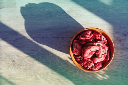 Fresh raw meat in a bowl is healthy food for a dog. View from above.
