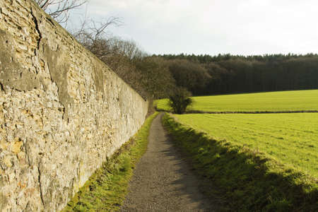 The walk to haw park down the pathの写真素材