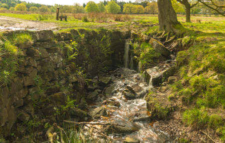 view of a small waterfall coming out of the groundの写真素材