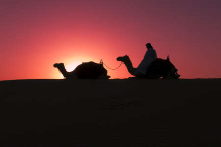 A Camel Driver rests with his Camels, Dubai, UAEの写真素材