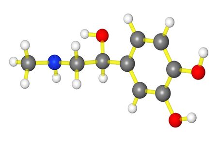 Molecular model of adrenalineの写真素材