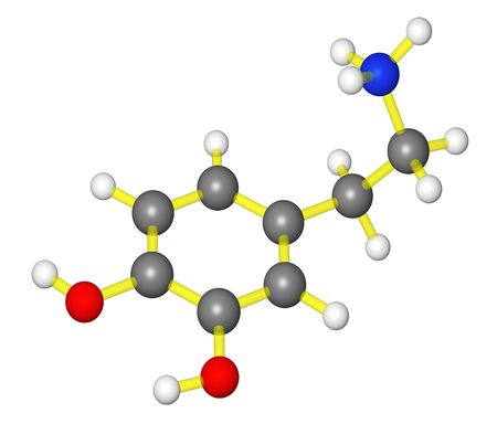 Molecular model of dopamineの写真素材