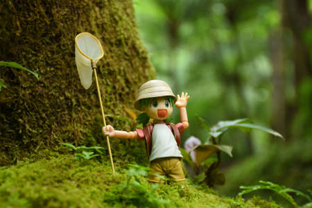 Hunt for butterfly