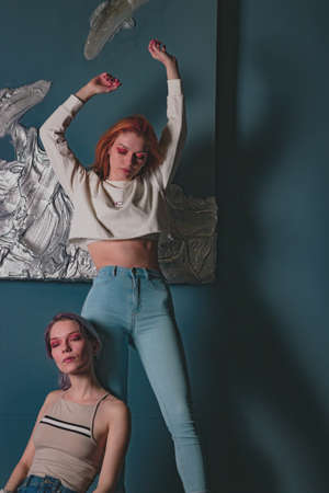 twins sisters in jeans in a photo studioの写真素材