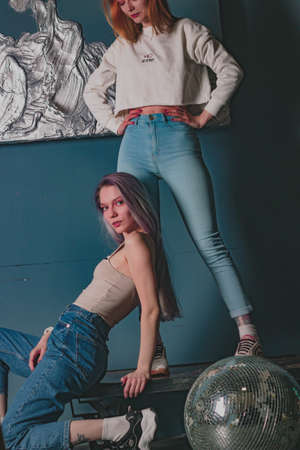 twins sisters in jeans in a photo studioの写真素材