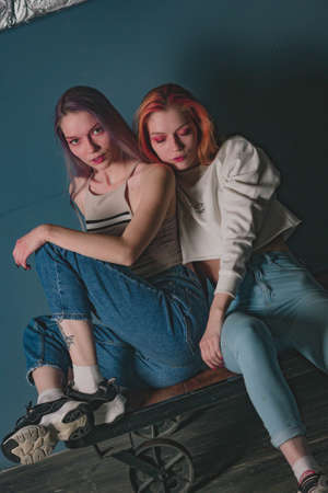 twins sisters in jeans in a photo studioの写真素材