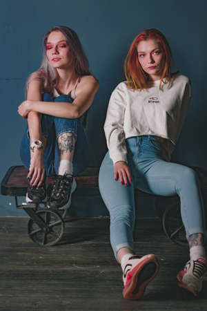 twins sisters in jeans in a photo studioの写真素材