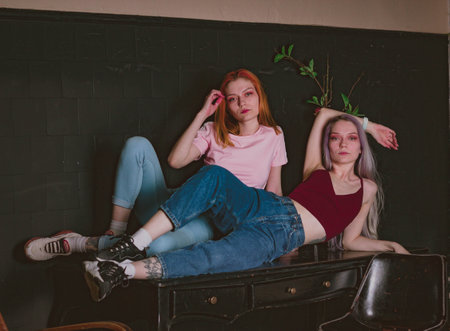 twins sisters in jeans in a photo studioの写真素材