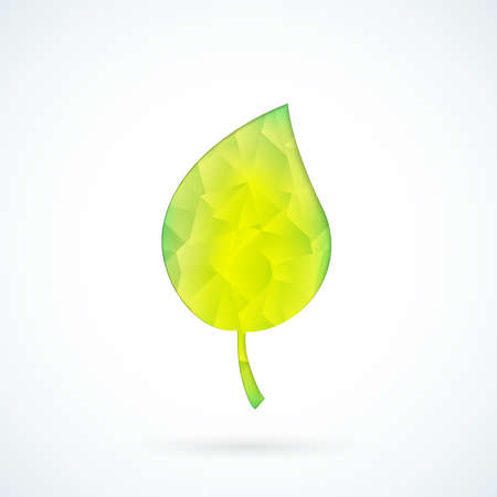 Green leaf symbol geometric vector background templateのイラスト素材