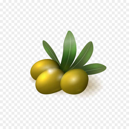 Realistic green olives with leaves isolated on transparent background vector illustrationのイラスト素材