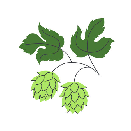 Green hop cones with leafy stems in flat cartoon style used in brewing beer and craft ale isolated on white backgroundのイラスト素材