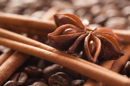 Star anise with cinnamon sticks and coffee beans, closeup macro shot, selective focusの写真素材