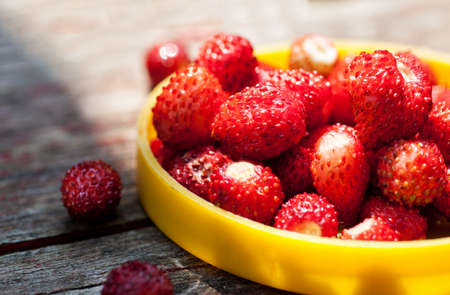 Wild strawberries in yellow container, closeup, selective focusの写真素材