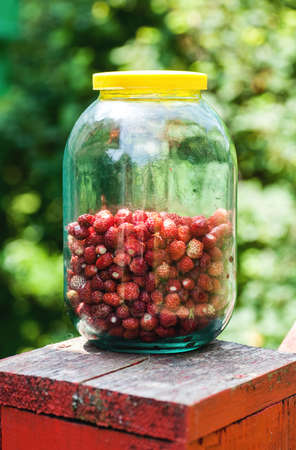 Wild strawberries in glass jar on wooden stand, selective focusの写真素材