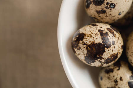 Quail dappled eggs in white ceramic bowl, selective focus, text spaceの写真素材