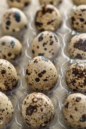 Quail eggs in transparent plastic box, selective focus