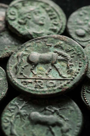 Ancient roman copper coins wit horse image and green patina, verticalの写真素材